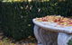 Lynrose Place - thumb 5
