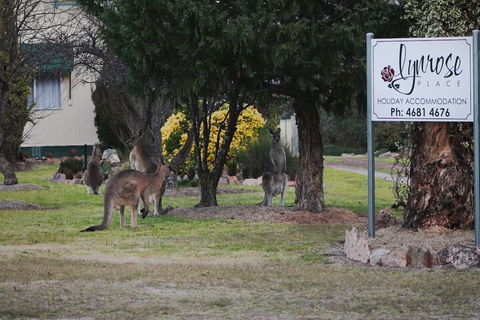 Lynrose Place - NT Tourism 7