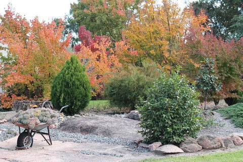 Lynrose Place - NT Tourism 4