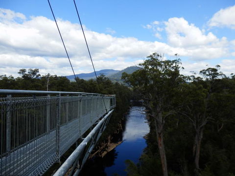 Tahune Air Walk Lodge - Accommodation NT 5