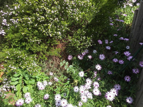Nest On A Crest - Accommodation NT 4