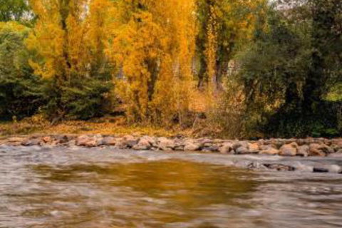 Alpine Aspects - Accommodation NT 5