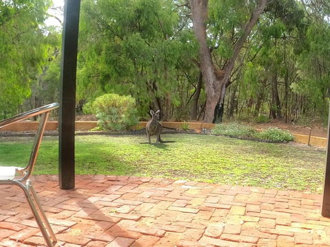 Yallingup Pet Friendly Bush Retreat - Accommodation NT 5
