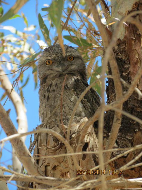 Kalbarri Tudor Holiday Park - Accommodation NT 3
