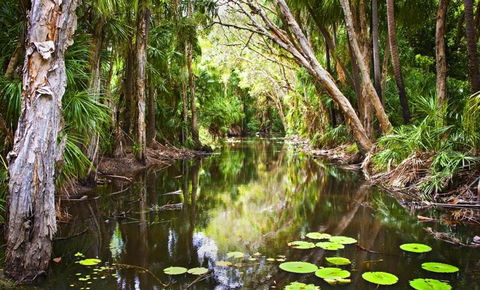 Breakaway - Accommodation NT 3