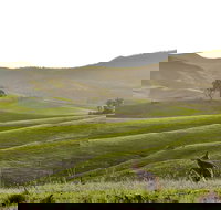 Ketchup's Bank Glamping - Accommodation NT