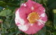 Getaway Inn Boutique Guest House - thumb 2