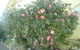 Getaway Inn Boutique Guest House - thumb 1