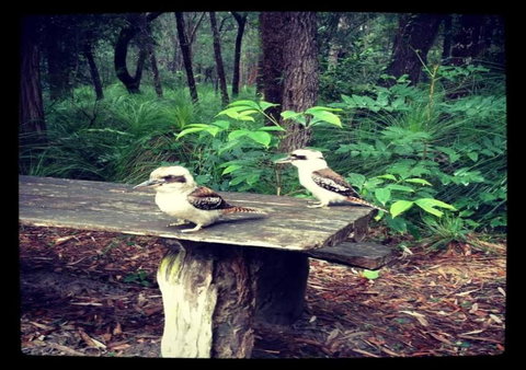 Getaways At Byfield - Accommodation NT 1