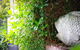 Capella Villa No. 4 Stunning Luxury Decor Inside & Out - thumb 2
