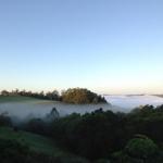 Montville QLD NT Tourism