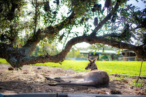 Waterfall Springs Retreat And Wildlife Sanctuary - Accommodation NT 5