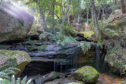 Waterfall Springs Retreat And Wildlife Sanctuary - Accommodation NT 3