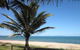 Forrest Beach Hotel - thumb 0