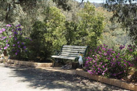 Wild Cherry Bed & Breakfast - NT Tourism 3