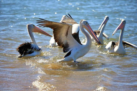 Alva Beach Tourist Park - Accommodation NT 4