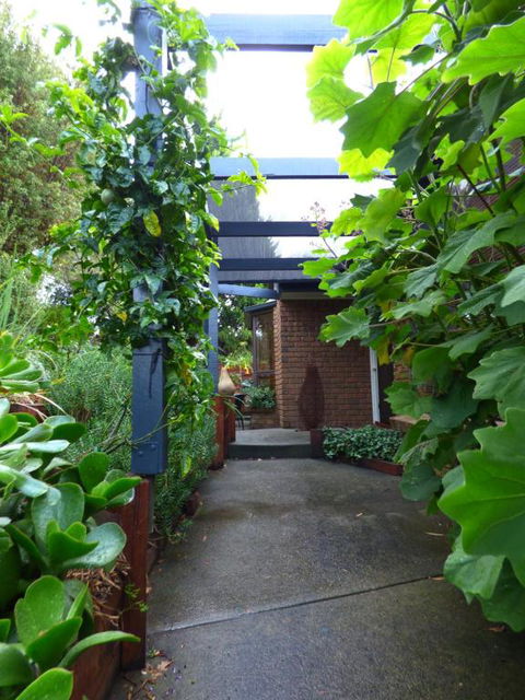 A Suite Spot In The Hills - Accommodation NT 5
