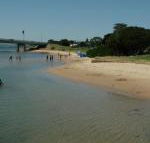 Black Dolphin Waterfront Apartment - Accommodation NT