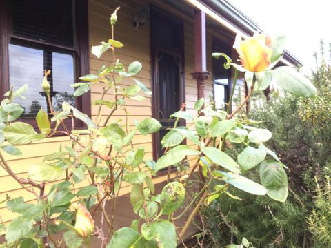 Albion Cottage - Accommodation NT 4