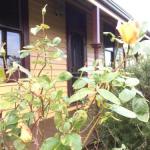 Albion Cottage - Accommodation NT 0