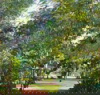 Banyan Tree Resort - Accommodation NT