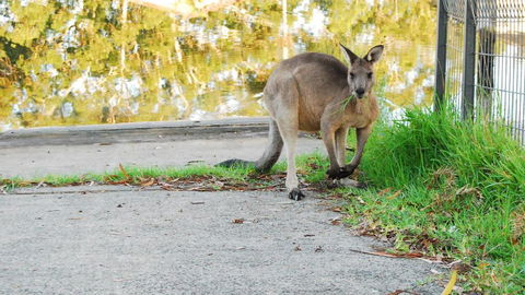 Riverfront Delight - NT Tourism 3
