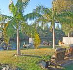 The Oasis on Jacobs Drive - NT Tourism
