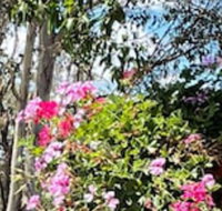 Crows Nest Motel - Accommodation NT