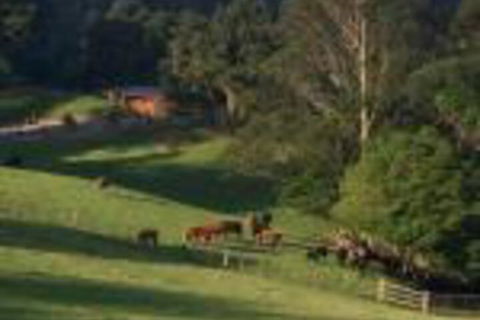 Amaroo Valley Springs - Accommodation NT 0
