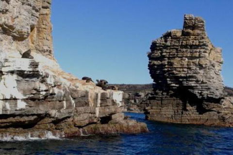 Summer Retreat At Callala Beach - NT Tourism 7