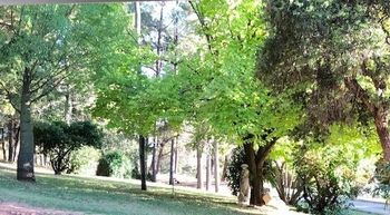 Eemnes Park Estate - Accommodation NT 6