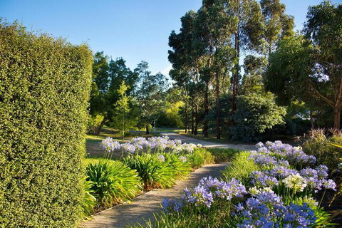 Alvie - Accommodation NT 4