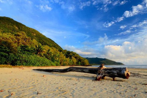 Daintree Rainforest Beach House - Accommodation NT 7