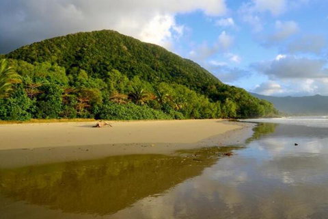 Daintree Rainforest Beach House - Accommodation NT 5