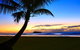 Daintree Rainforest Beach House - thumb 3