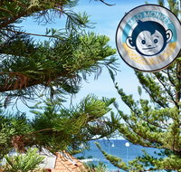 Mad Monkey Coogee Beach Hostel - Accommodation NT