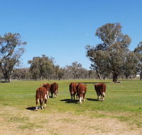 Jindera Park - Accommodation NT