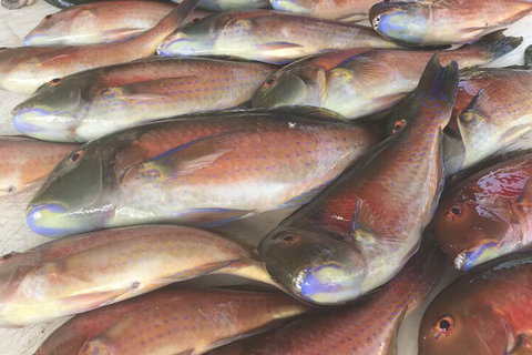 DRIFTWOOD - NT Tourism 5