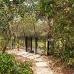 15 Joanne Street Marcoola - Accommodation NT 0