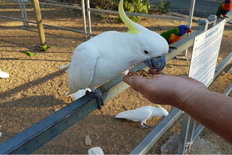 BIG4 Cania Gorge Holiday Park - NT Tourism 3