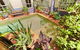 Summer House Newtown - thumb 6