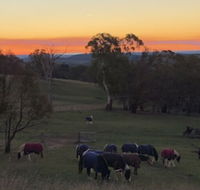 High Country Trail Rides  Farm Stay - Accommodation NT