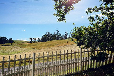 Old White Church Bed & Breakfast - Accommodation NT 5