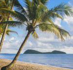 Eden Oceans Edge Palm Cove - Accommodation NT