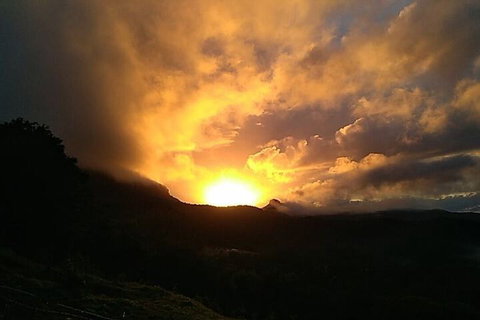 Ruah Rain Forest Retreat - Accommodation NT 5