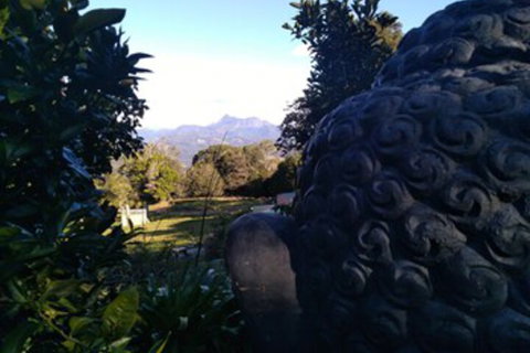 Ruah Rain Forest Retreat - Accommodation NT 0