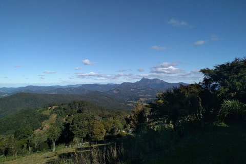 Ruah Rain Forest Retreat - Accommodation NT 6