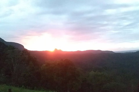 Ruah Rain Forest Retreat - Accommodation NT 4