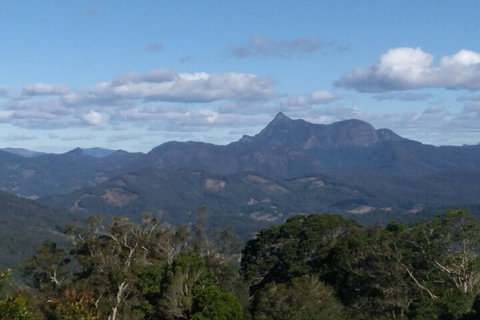 Ruah Rain Forest Retreat - Accommodation NT 2