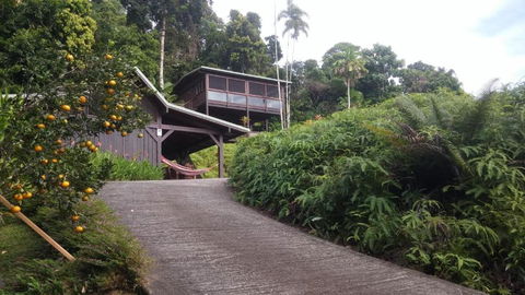 Daintree Holiday Homes La Vista - Accommodation NT 4